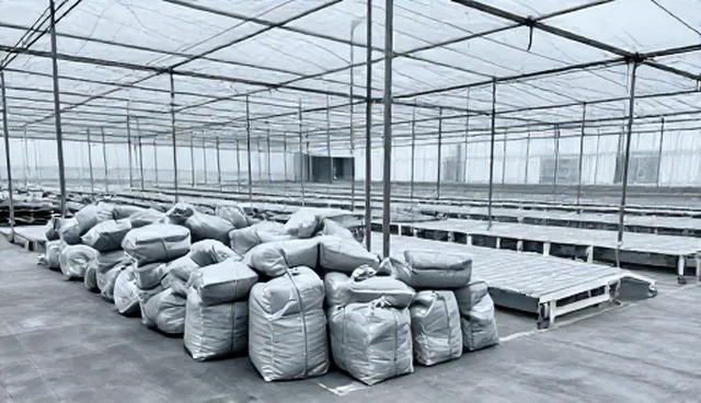 仓储优化在日用百货批发中的实际应用与性能分析
